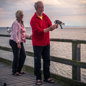 Ein älterer Herr hält eine Taube auf seiner Hand